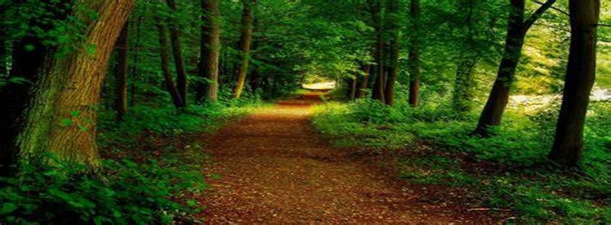 Blog