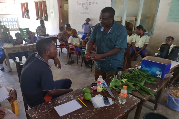 GSF Activities